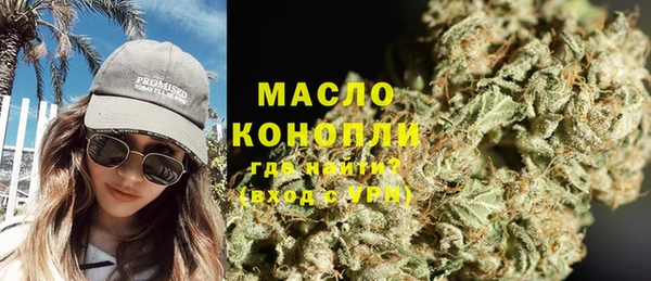 твердый Вяземский